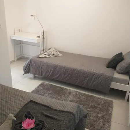 Apartment Drevi *